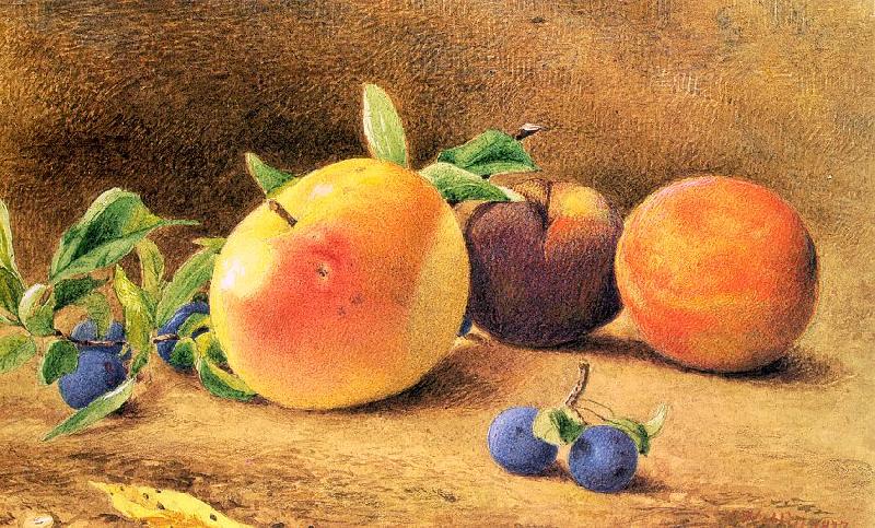 Hill, John William Study of Fruit Norge oil painting art